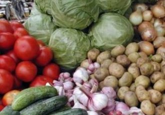 Овощеводство и садоводство – приоритетные направления